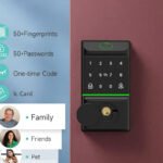 Smart Locks for Front Door with Handle