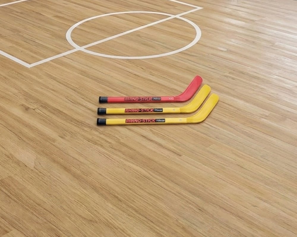 Stick Hockey Set