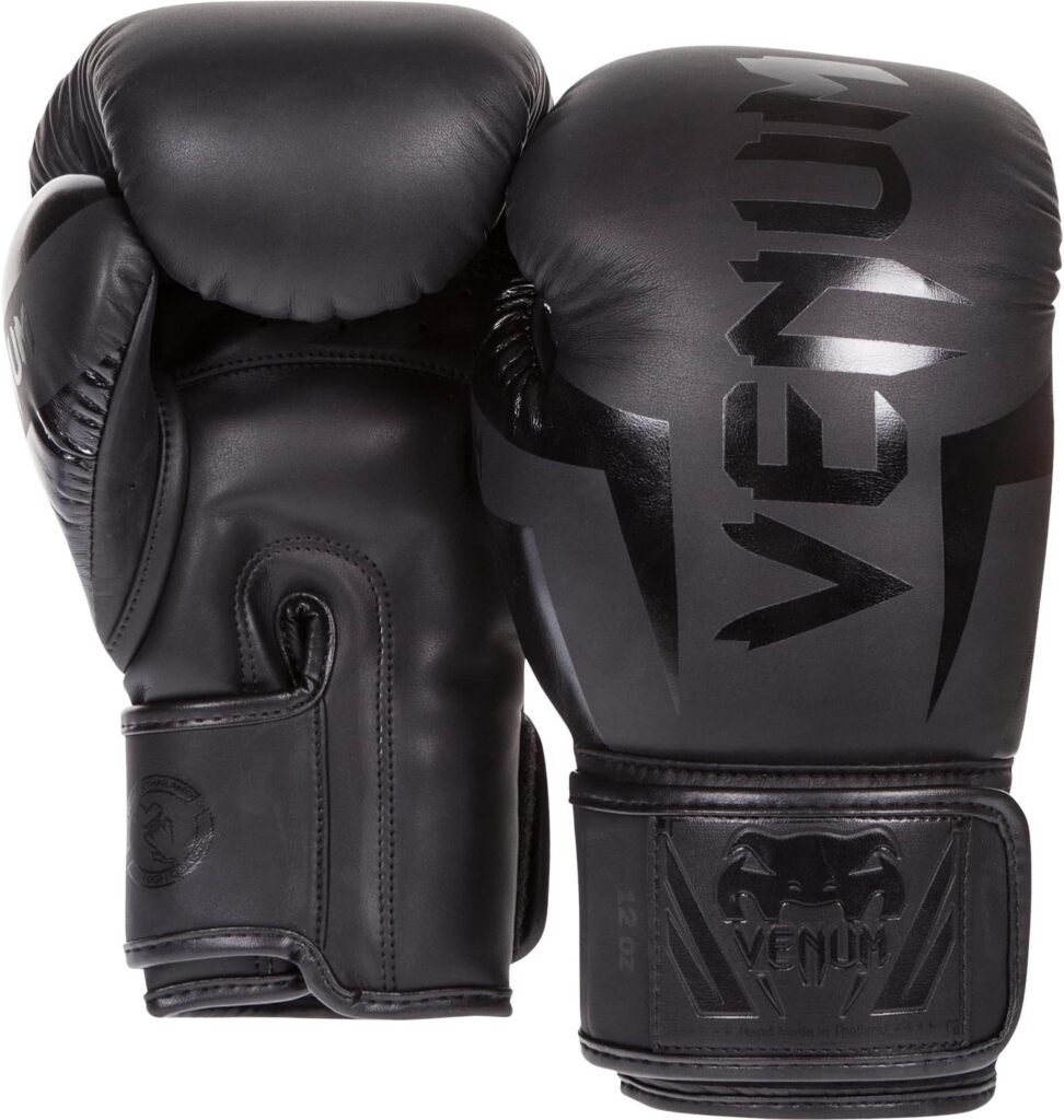 Boxing Gloves for Beginners and Professional Fighters