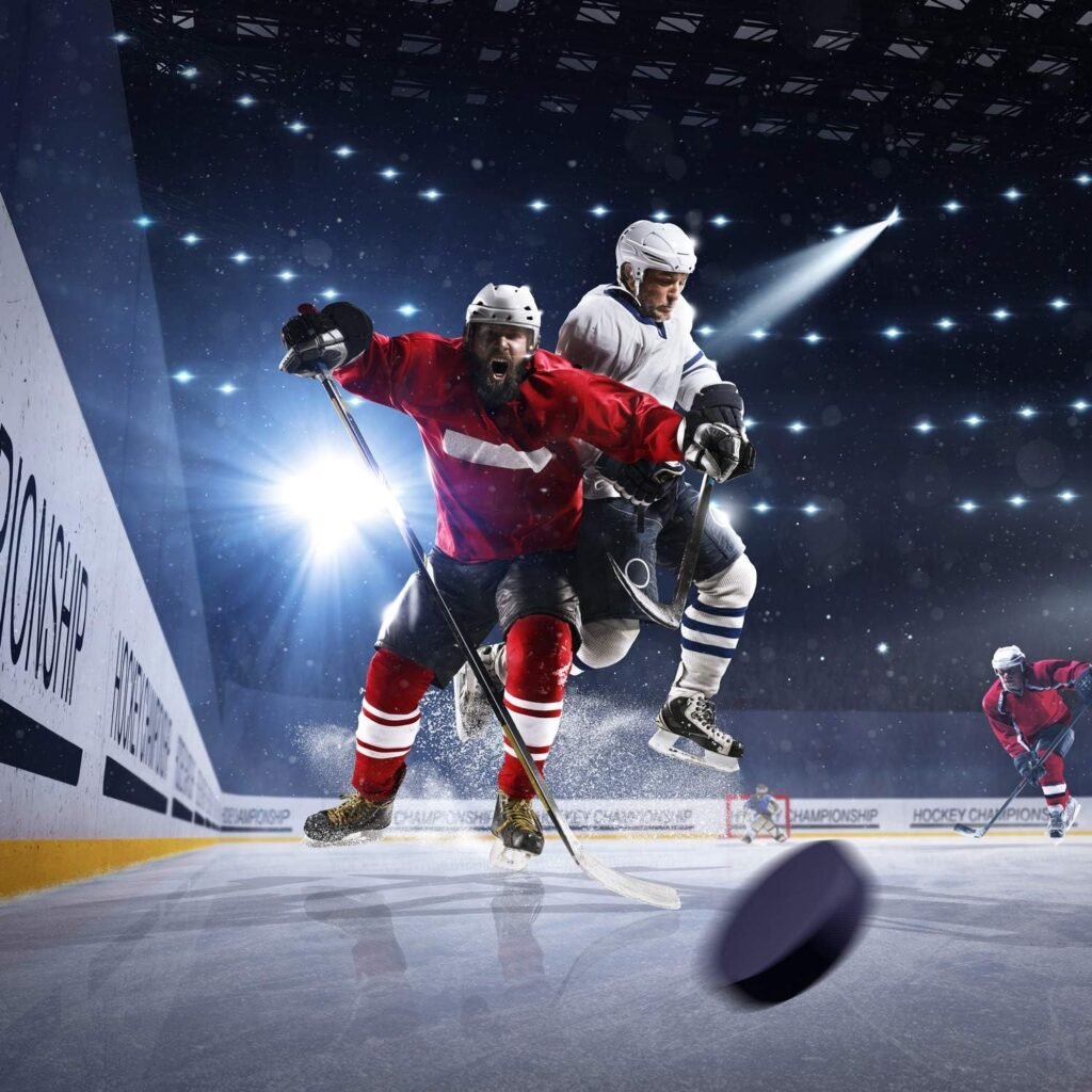 Ice Hockey Pucks